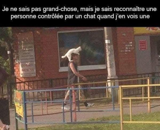 Name:  Gg04215WIAAtaHw.jpg
Views: 26
Size:  53.8 KB