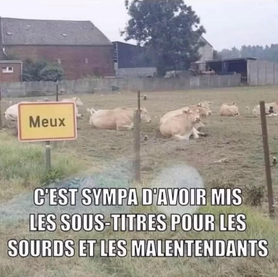 Name:  GhB7SVAX0AA61mj.jpeg
Views: 12
Size:  81.4 KB