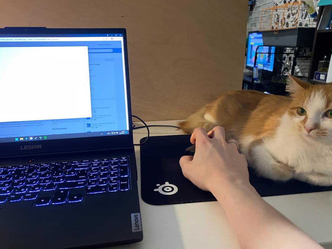 Name:  IMG_3319.jpg
Views: 143
Size:  84.0 KB