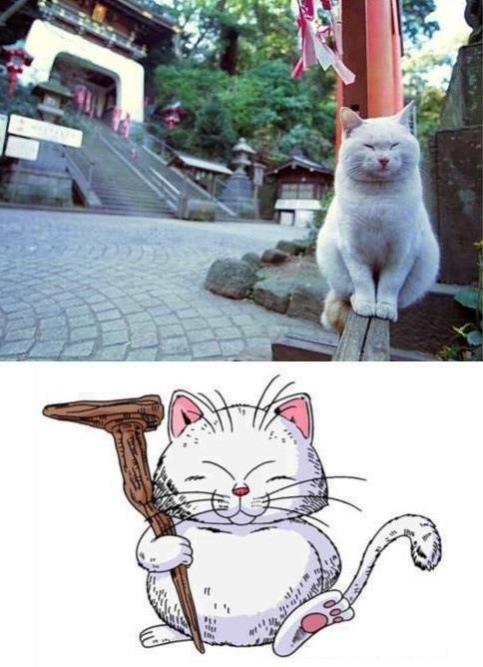 Name:  GhVIJI6WMAIaetz.jpg
Views: 47
Size:  49.9 KB