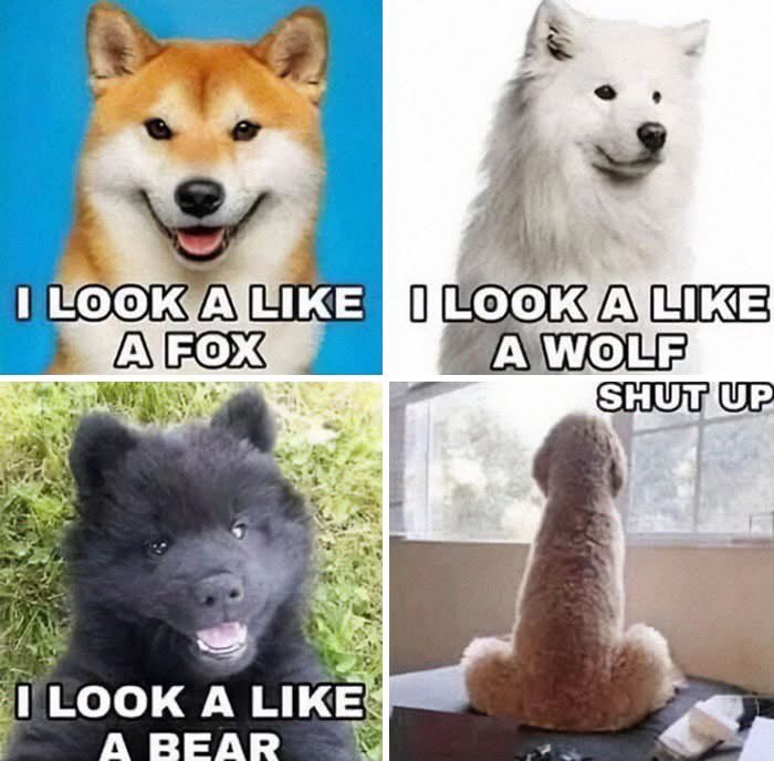 Name:  GhLLEJAWoAAj38P.jpeg
Views: 44
Size:  62.1 KB