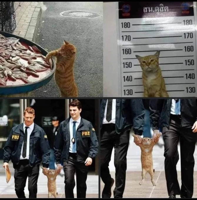 Name:  GiZjXKvWIAME-XG.jpg
Views: 13
Size:  89.6 KB