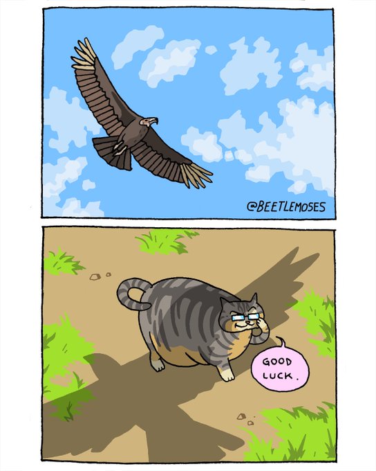 Name:  GikKBe1X0AAI0Qo.jpg
Views: 48
Size:  52.7 KB