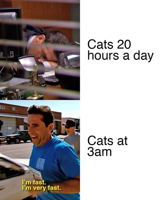 Name:  GieY5uKb0AAksMq.jpg
Views: 54
Size:  52.1 KB