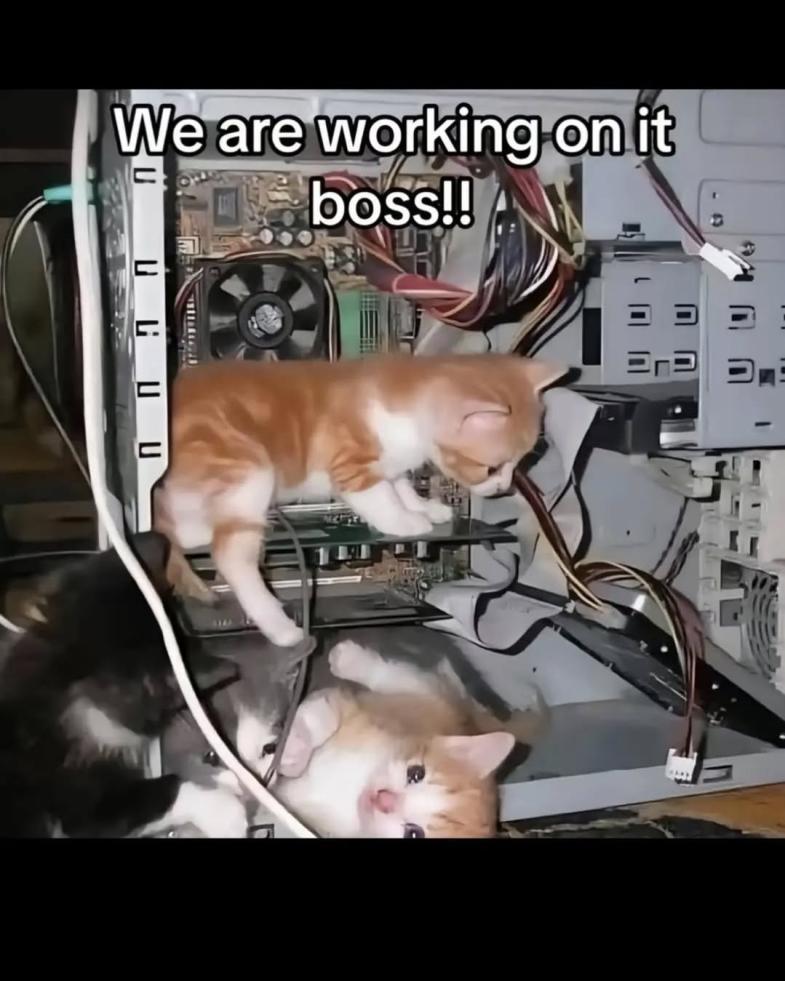 Name:  GijjzLUbYAA7hvk.jpg
Views: 43
Size:  83.0 KB