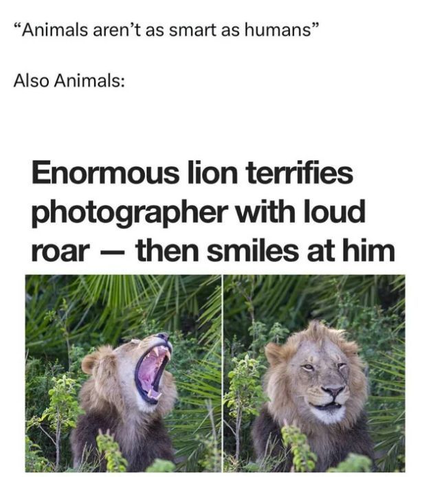 Name:  GiibPj7XoAAOPA-.jpeg
Views: 44
Size:  69.6 KB