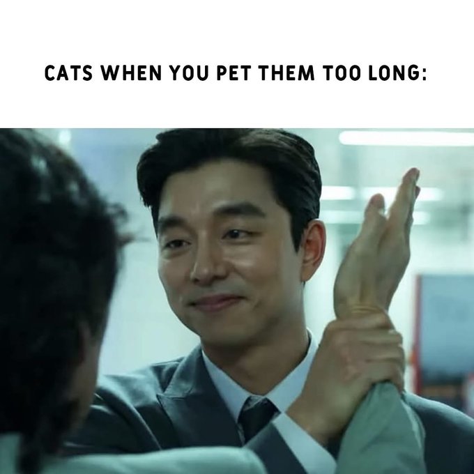 Name:  GitSuCKbYAAUaxH.jpg
Views: 42
Size:  44.6 KB