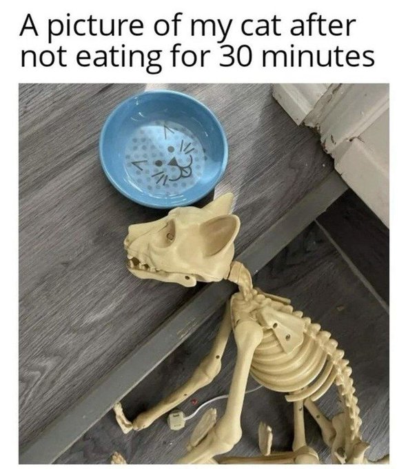 Name:  Gi3XfvGbsAEpjLe.jpg
Views: 35
Size:  80.2 KB