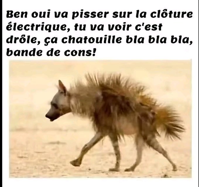 Name:  GjHk8ocXsAA8W9q.jpg
Views: 31
Size:  58.9 KB