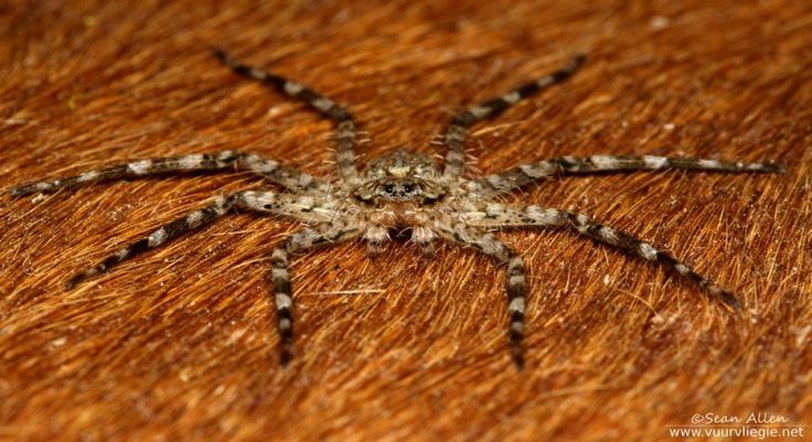 Name:  R.jpg
Views: 16
Size:  66.3 KB