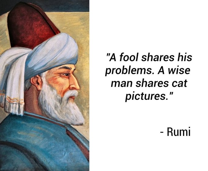 Name:  GjlJvFhaIAAC70q.jpg
Views: 16
Size:  54.3 KB