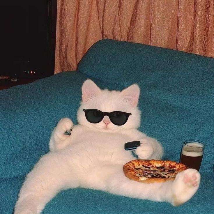 Name:  GjCBYsZXAAAy_ZL.jpg
Views: 19
Size:  86.2 KB