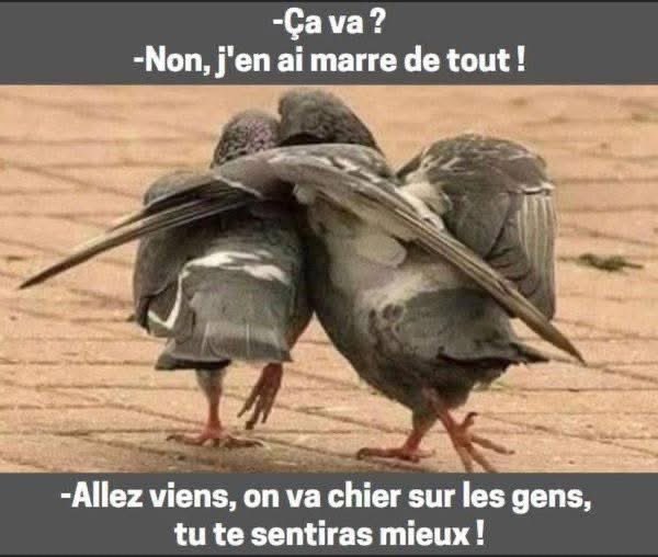 Name:  Gi3Ty60XwAEm5rw.jpeg
Views: 19
Size:  42.1 KB