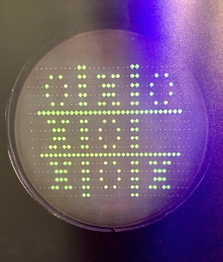 Name:  juego_oxo.jpg
Views: 23
Size:  93.5 KB