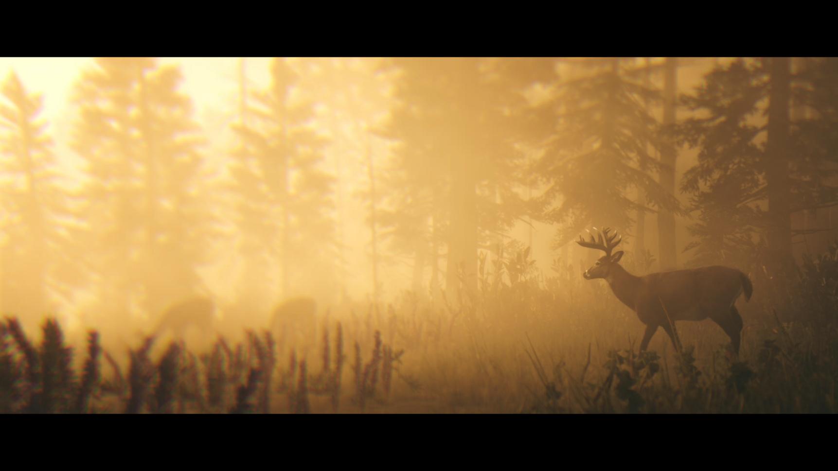 Name:  RedDeadRedemption2Screenshot2024.10.08-06.37.30.38.jpg
Views: 50
Size:  76.7 KB