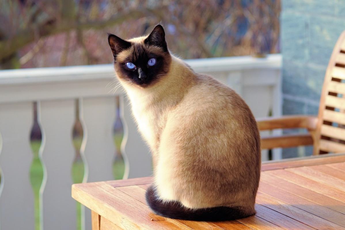 Name:  Screenshot2025-02-17161400.jpg
Views: 29
Size:  88.3 KB