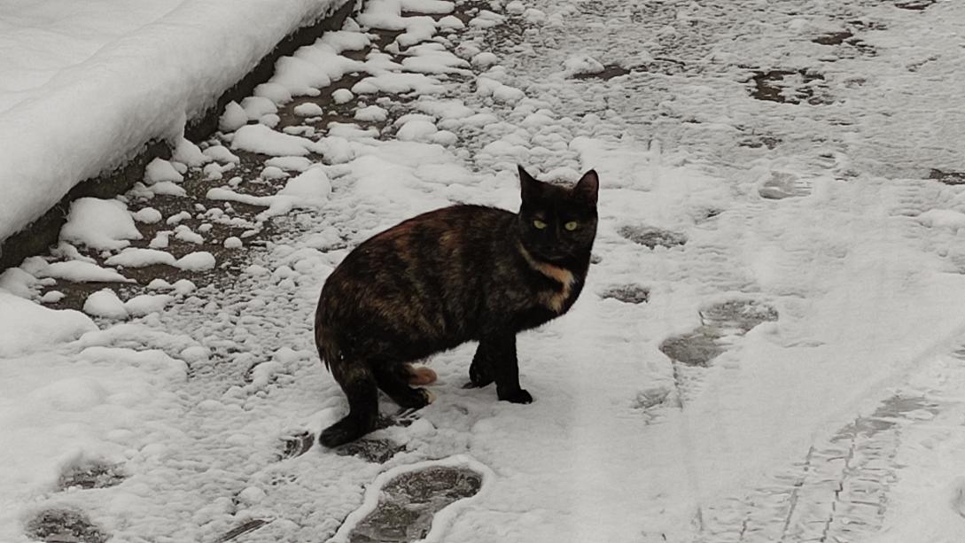 Name:  IMG_20221121_141754.jpg
Views: 28
Size:  98.8 KB