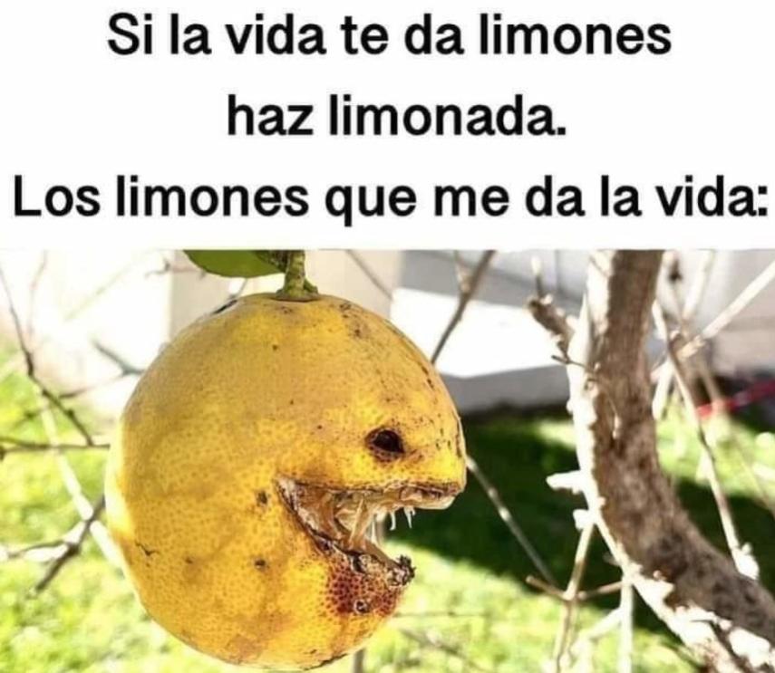 Name:  limonmeme.jpg
Views: 97
Size:  73.0 KB