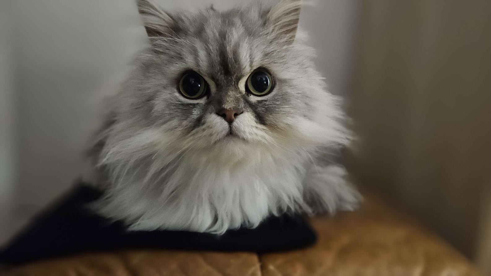 Name:  20250308_001907.jpg
Views: 32
Size:  94.9 KB