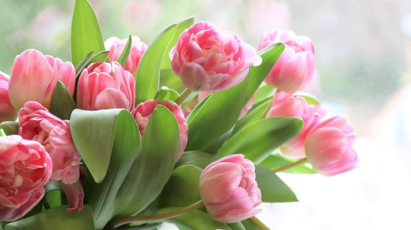 Name:  Screenshot2025-03-10164736.jpg
Views: 40
Size:  85.4 KB