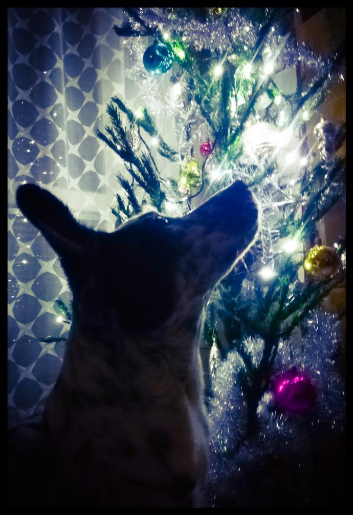 Name:  inbound6428470821215256199.jpg
Views: 145
Size:  93.6 KB