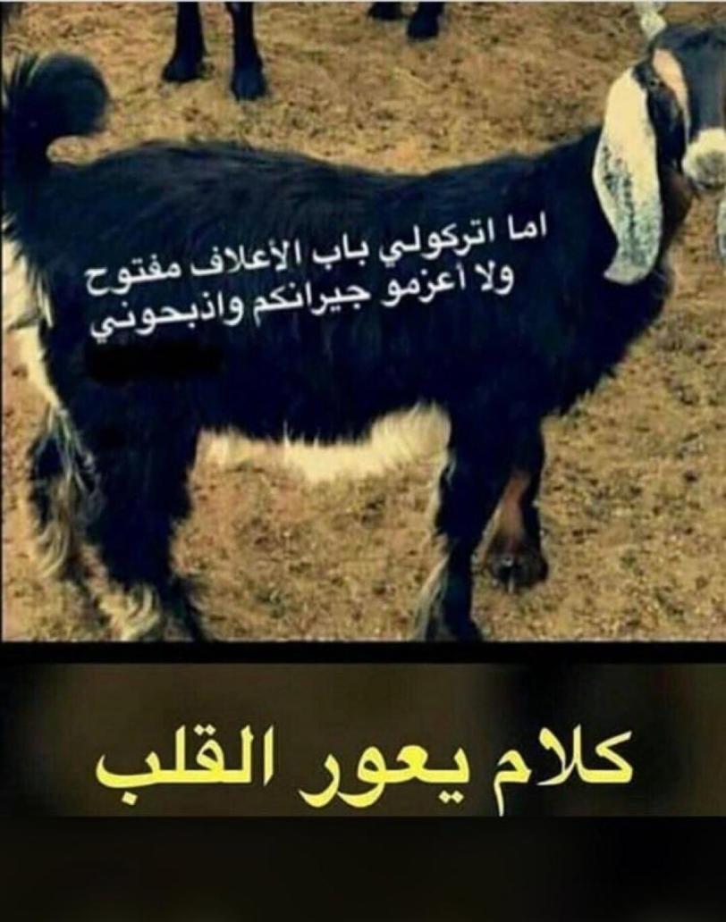 Name:  E5F6D4CA-F671-4769-8012-6378A8C69308.jpg
Views: 61
Size:  82.5 KB