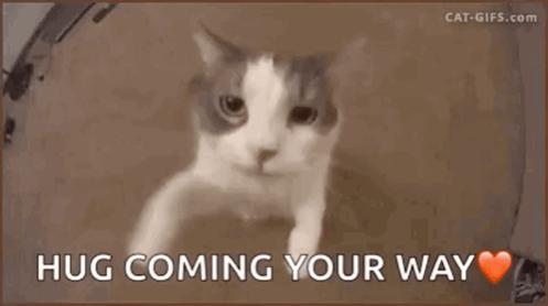 Name:  hug-love.jpg
Views: 119
Size:  13.1 KB