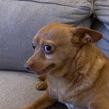 Name:  images.jpeg
Views: 108
Size:  6.6 KB