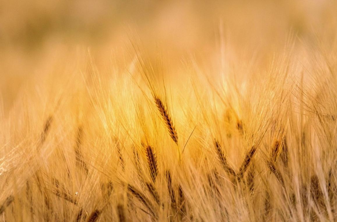 Name:  Screenshot2025-06-19164307.jpg
Views: 56
Size:  92.3 KB