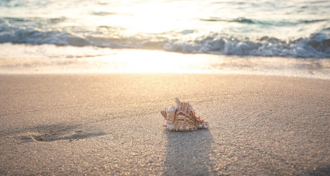 Name:  Screenshot2025-07-24134402.jpg
Views: 48
Size:  98.6 KB