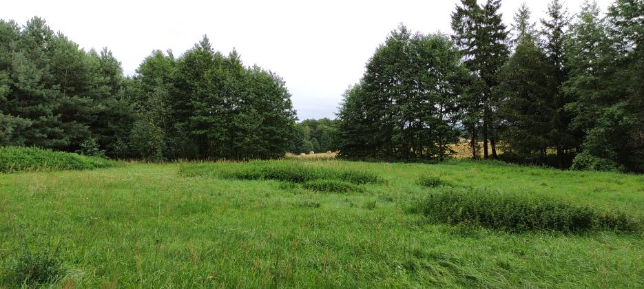 Name:  1686839919450.jpg
Views: 41
Size:  93.2 KB