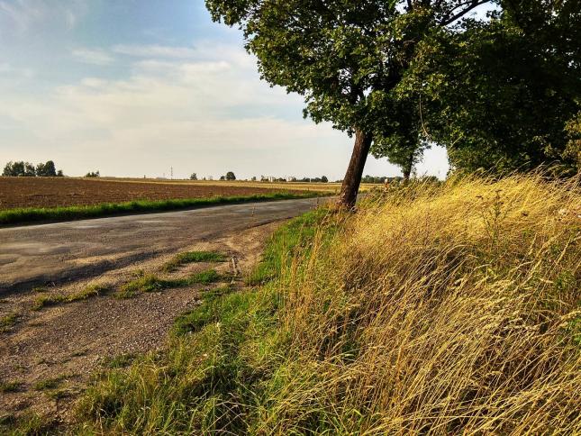 Name:  IMG_20180721_185743_HDR.jpg
Views: 41
Size:  97.5 KB