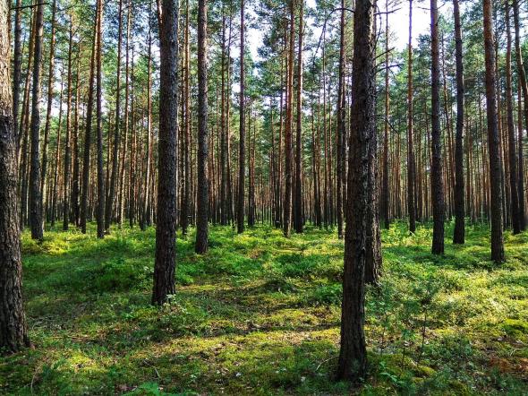 Name:  IMG_20180723_164611_HDR.jpg
Views: 41
Size:  97.1 KB