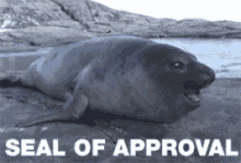 Name:  seal-of-approval-meme.gif
Views: 55
Size:  236.5 KB