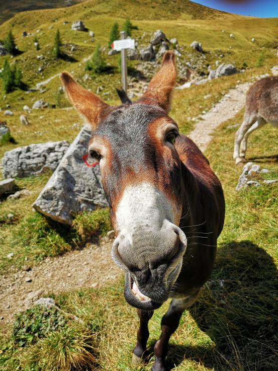 Name:  IMG_20250904_120407.jpg
Views: 20
Size:  100.8 KB