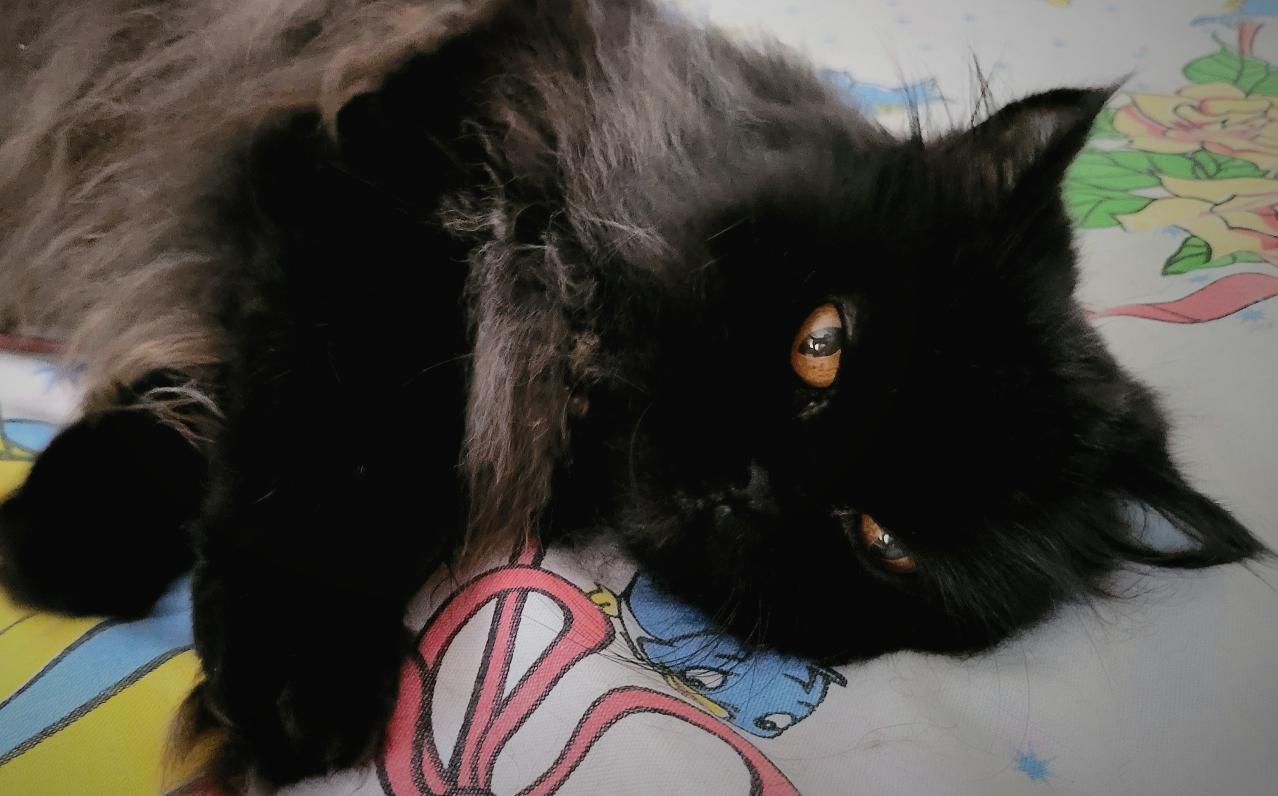 Name:  20220102_143340.jpg
Views: 30
Size:  93.8 KB