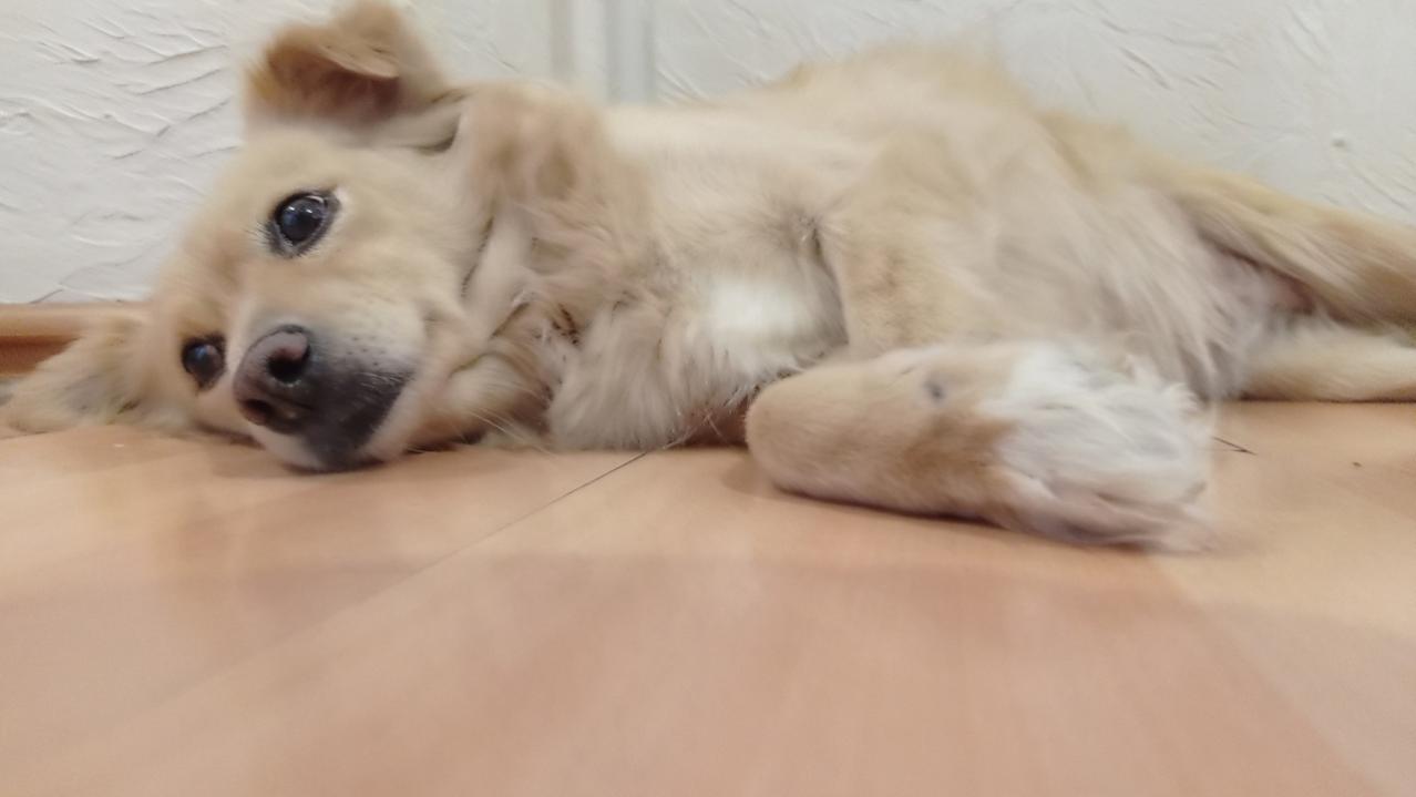 Name:  изображение_2021-12-27_234735.jpg
Views: 144
Size:  48.9 KB