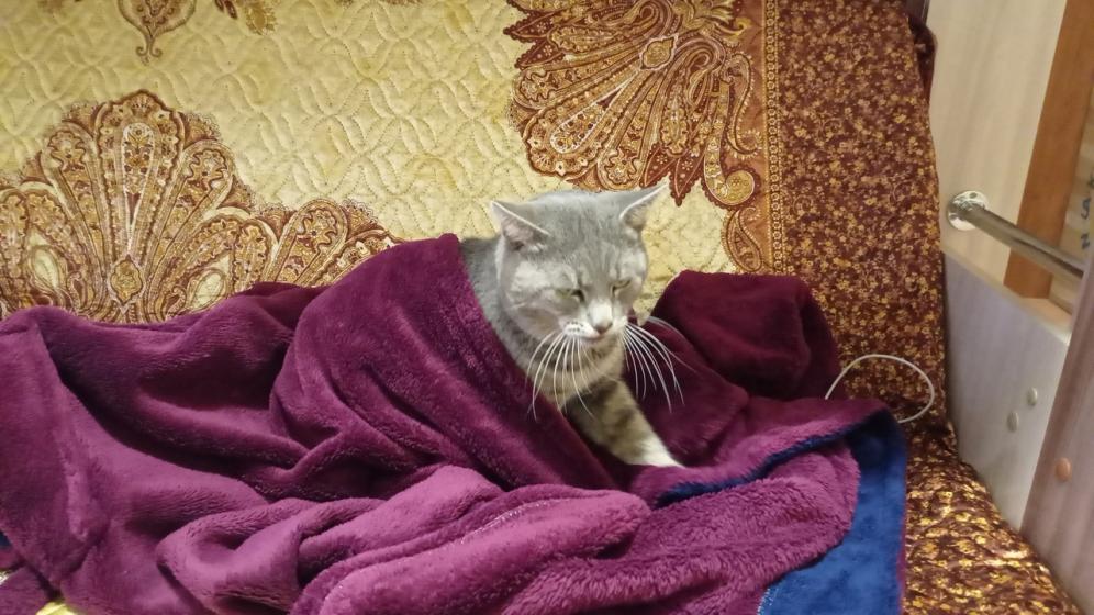 Name:  изображение_2021-12-27_234754.jpg
Views: 140
Size:  100.9 KB