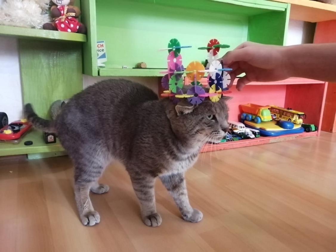 Name:  изображение_2021-12-27_234815.jpg
Views: 149
Size:  81.4 KB