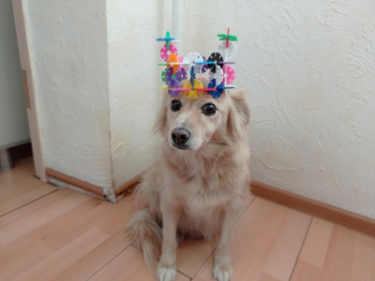 Name:  изображение_2021-12-27_234851.jpg
Views: 141
Size:  69.8 KB