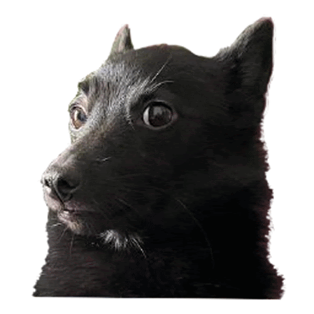 Name:  schmurfele-side-eye.gif
Views: 46
Size:  50.4 KB