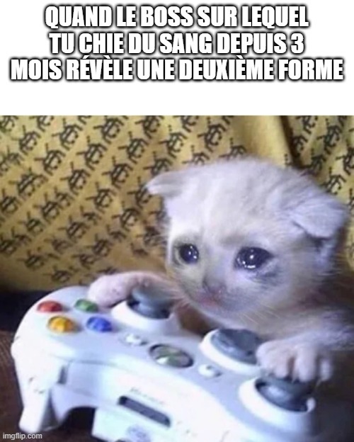 Name:  606df915c755f.jpeg
Views: 4590
Size:  75.6 KB