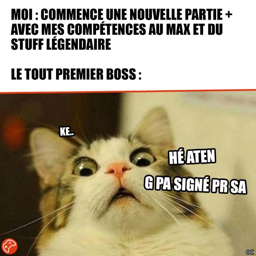 Name:  609e06e9.jpg
Views: 2708
Size:  80.0 KB