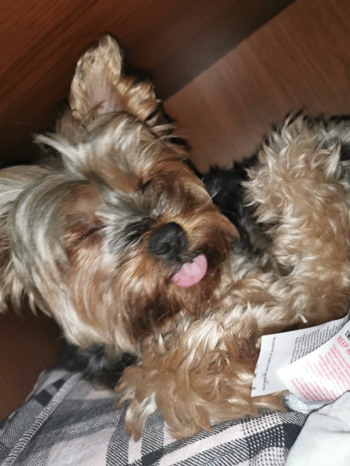 Name:  241638118_815900539096954_4854525899384754942_n.jpg
Views: 92
Size:  85.6 KB