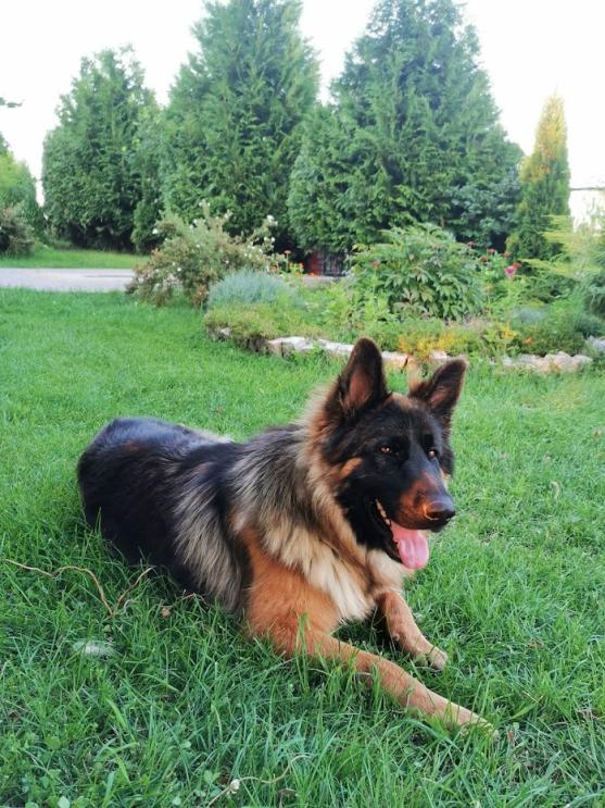 Name:  IMG_20210812_192910.jpg
Views: 115
Size:  99.6 KB