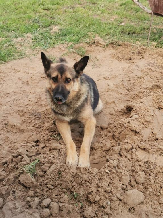 Name:  brunik.jpg
Views: 110
Size:  99.0 KB