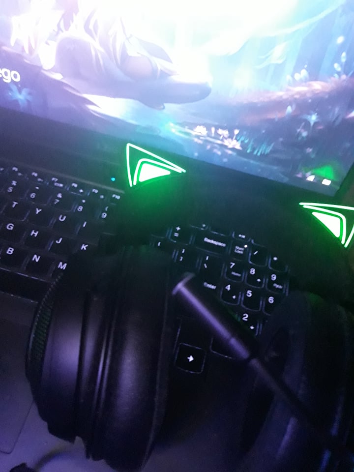 Name:  273262685_293314492788101_6363486888334814781_n.jpg
Views: 63
Size:  63.5 KB