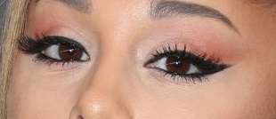 Name:  AGAGAGA_petite.jpg
Views: 87
Size:  13.9 KB