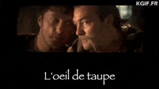 Name:  oeil-de-taupe (1).gif
Views: 43
Size:  662.1 KB