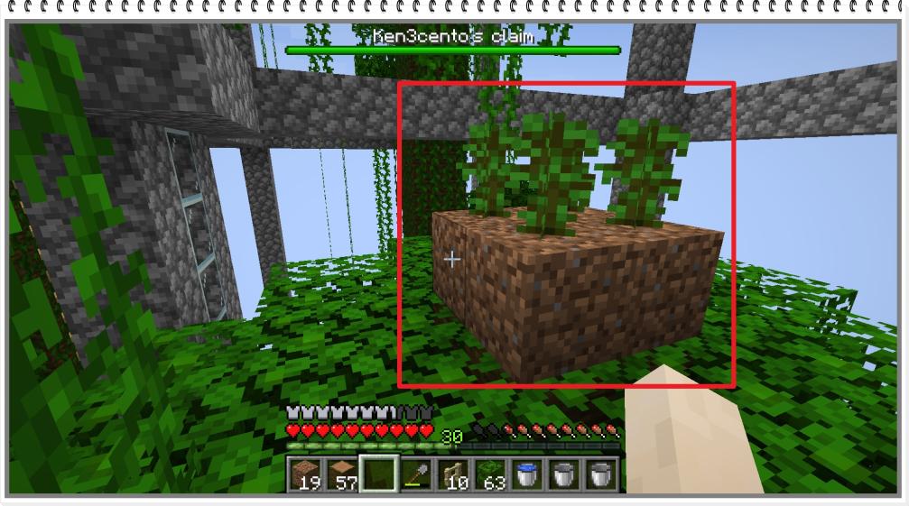 Name:  giunta.jpg
Views: 235
Size:  102.1 KB